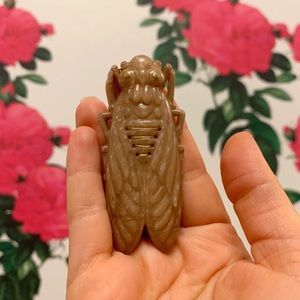 Plastic Cicada Vintage Brooch (brown)